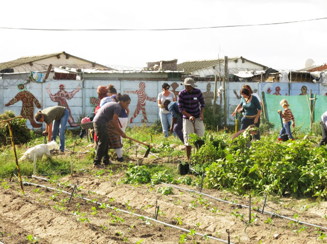 Planting a Wild Food Garden at Moya We Khaya