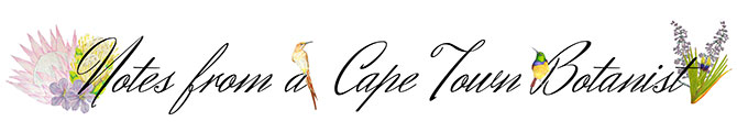 Notes from a Cape Town Botanist